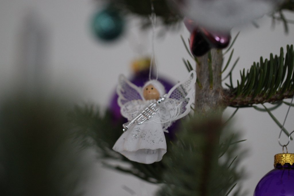 IMG_6159.JPG - Decorated christmas tree