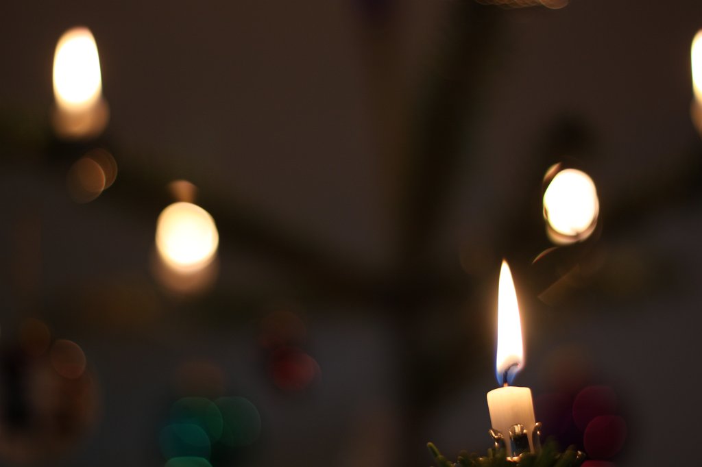 IMG_6243.JPG - Christmas tree lights