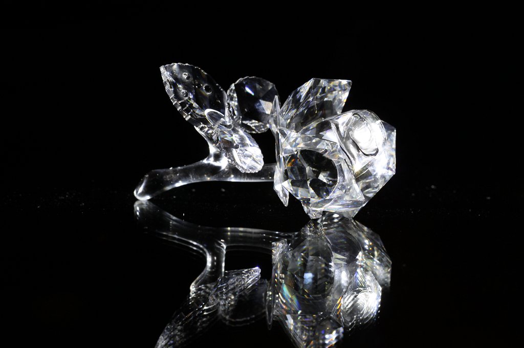 IMG_6371.JPG - Crystal rose