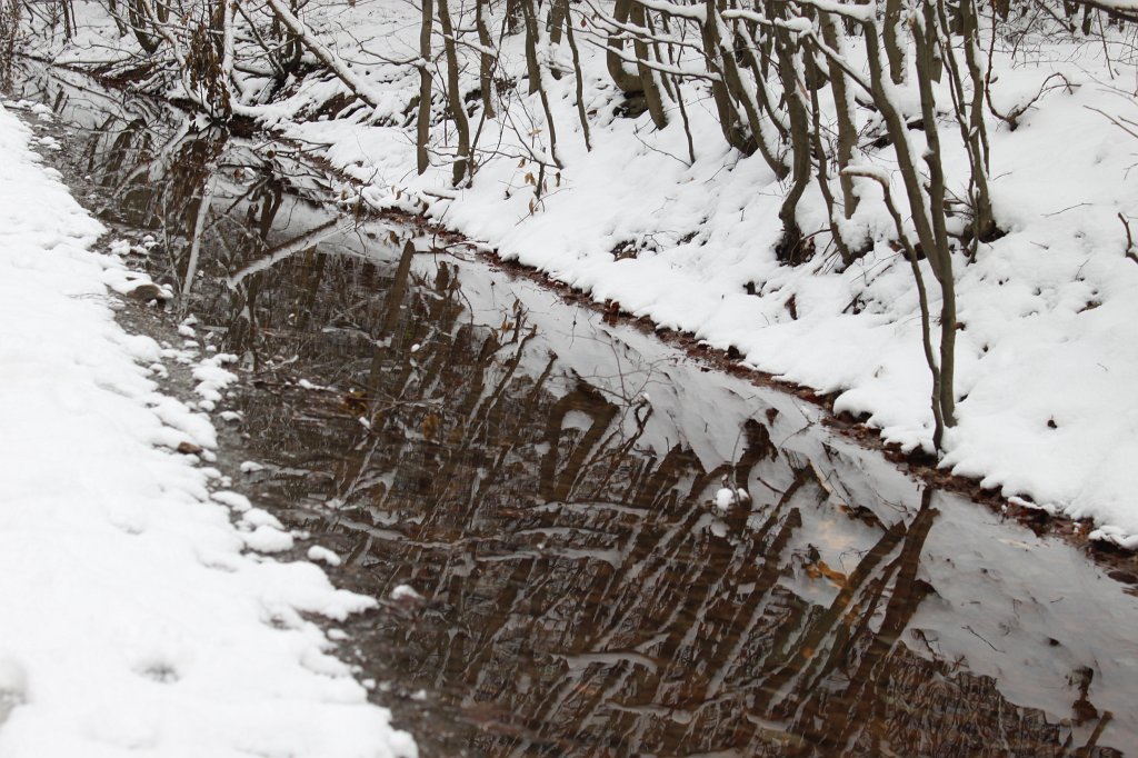 IMG_6385.JPG - Winter reflection