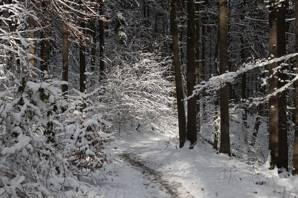 IMG_6391.JPG - Snowy path to  Marmorstein 