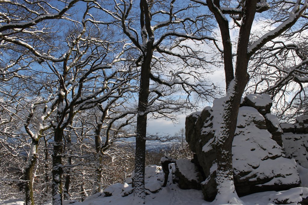 IMG_6434.JPG -  Marmorstein  in white