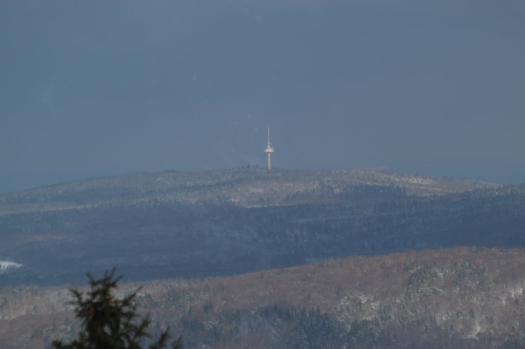 IMG_6452.JPG - White forest and dark clouds