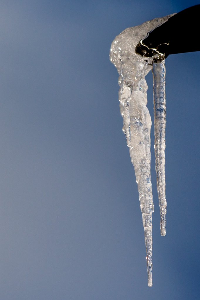 IMG_6472_c.jpg - Icicle