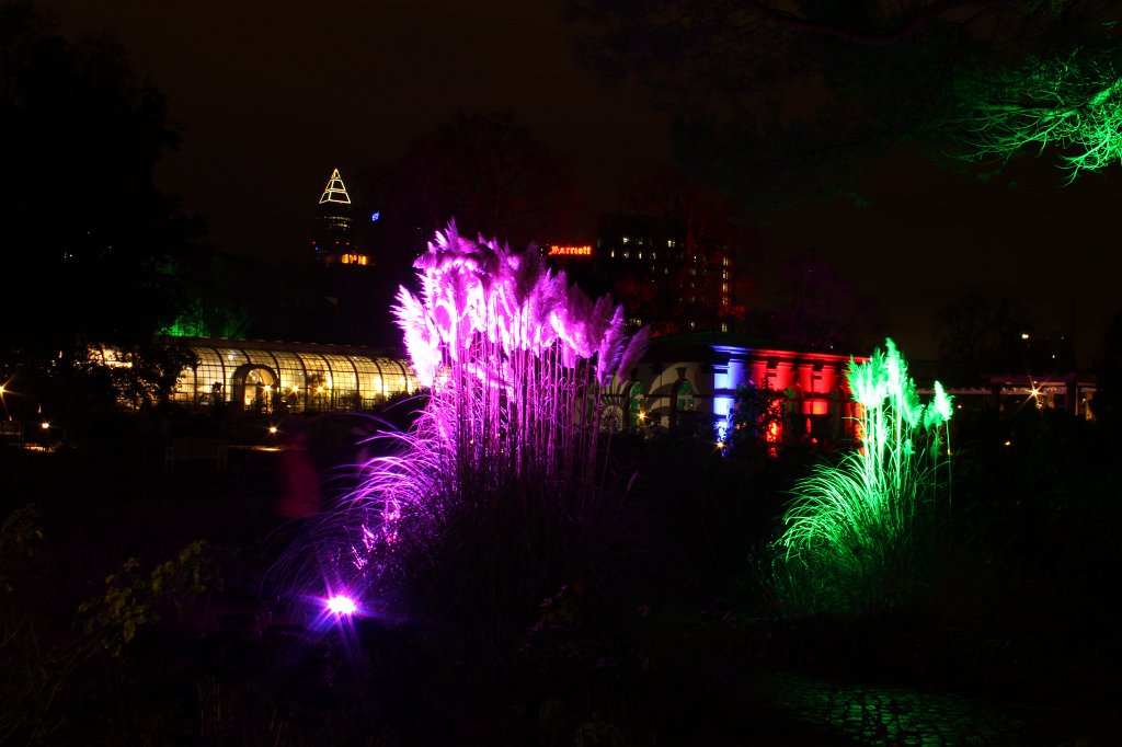 IMG_6513.JPG -  Palmengarten  Winterlichter 2016