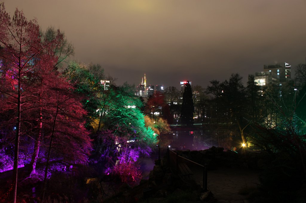 IMG_6545.JPG -  Palmengarten  Winterlichter 2016