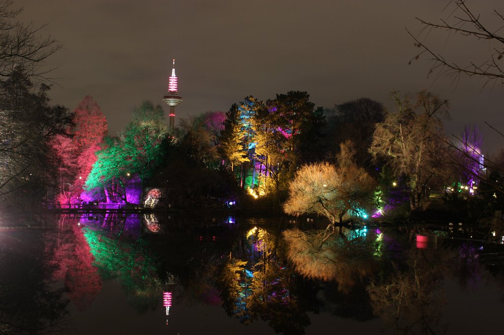 IMG_6549.JPG -  Palmengarten  Winterlichter 2016