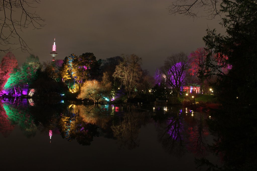 IMG_6552.JPG -  Palmengarten  Winterlichter 2016