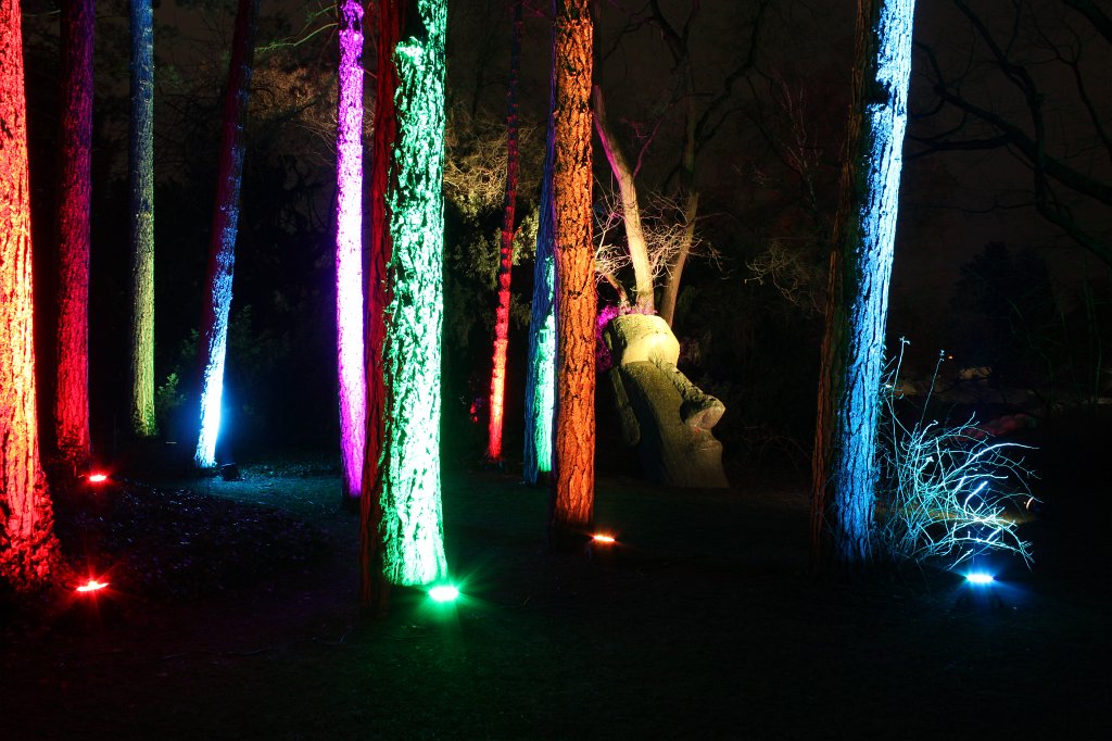 IMG_6593.JPG -  Palmengarten  Winterlichter 2016