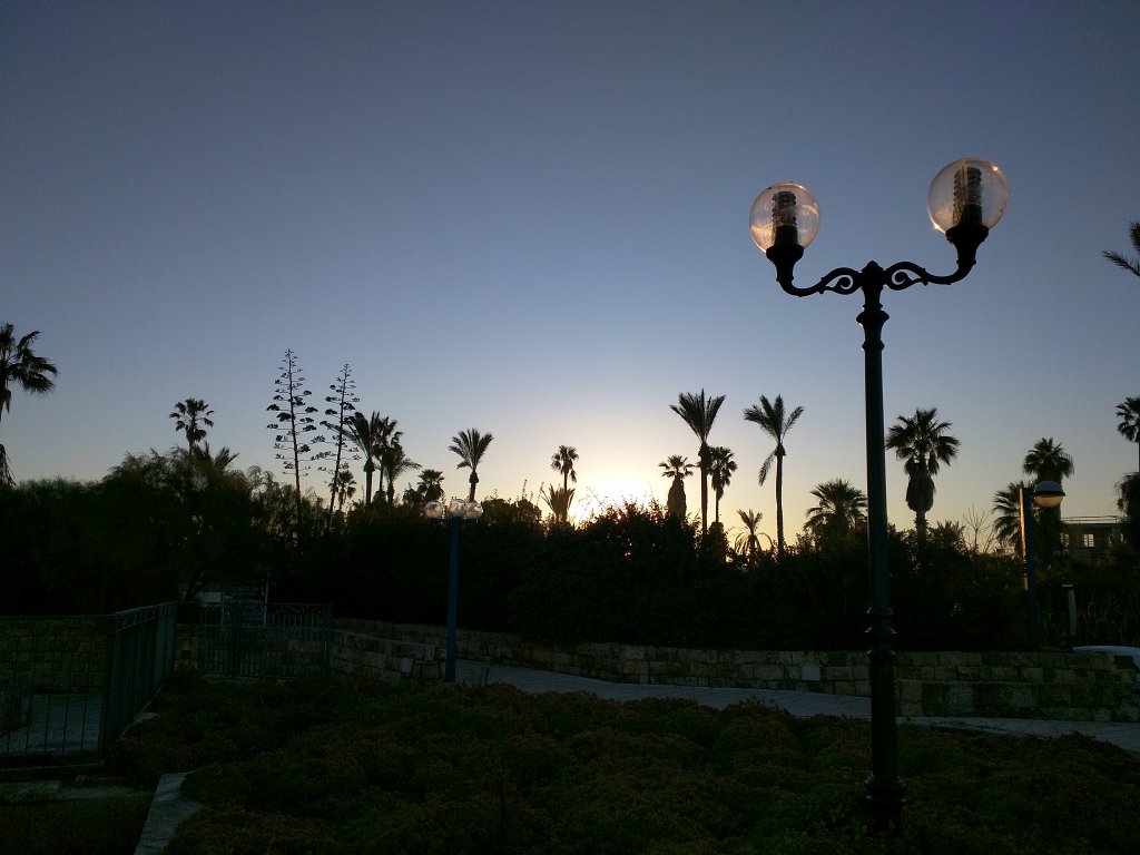 IMG_20160128_070146.jpg -  Jaffa 