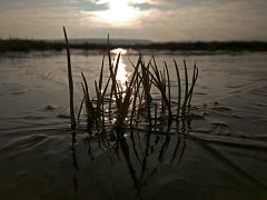 IMG_20160217_084834_c