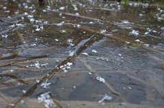 IMG_20160219_083001_c