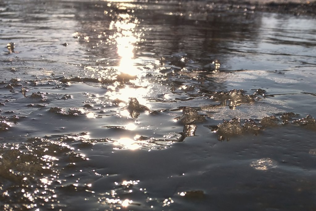 IMG_20160225_083915_c.jpg - Frozen puddle