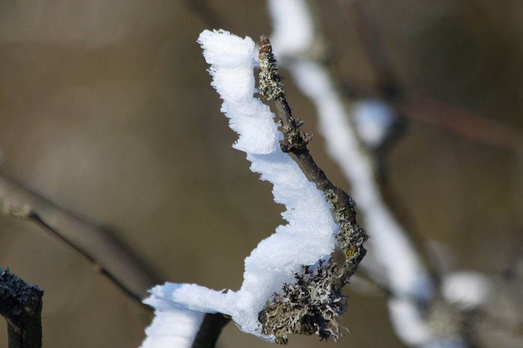 IMG_7689.JPG - Snow and ice on branches