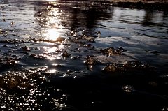 IMG_20160225_083918_c