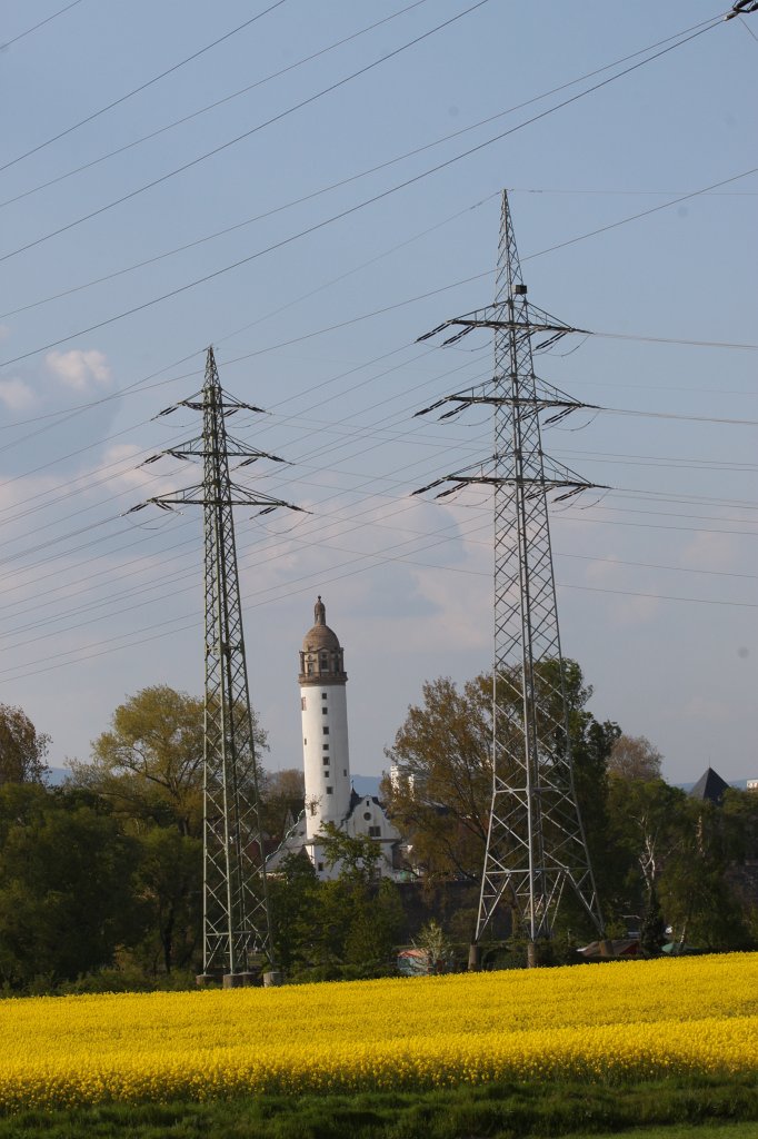 IMG_9127.JPG -  Höchster Schloß 