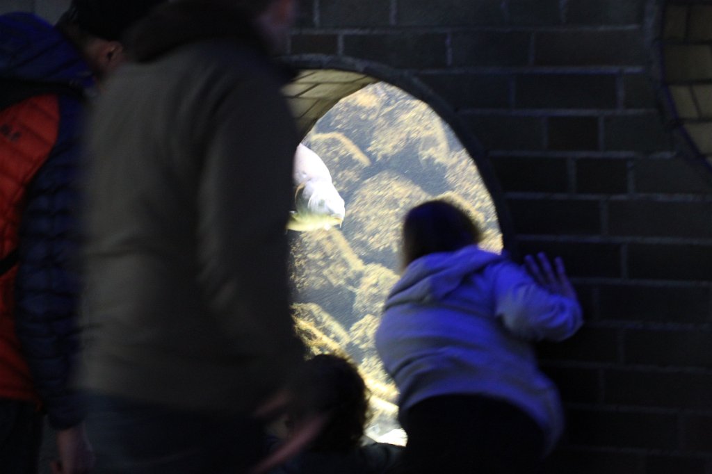 IMG_0415.JPG - Window into another world