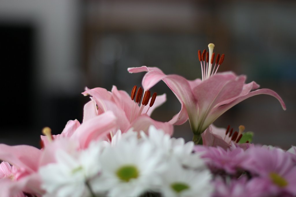 IMG_9866.JPG - Muttertagsstrauß