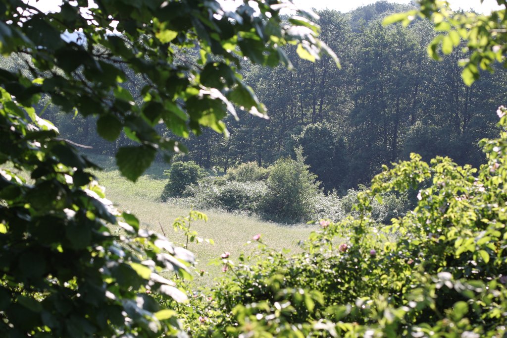 IMG_1750.JPG -  Usa  valley ( Usa tal)