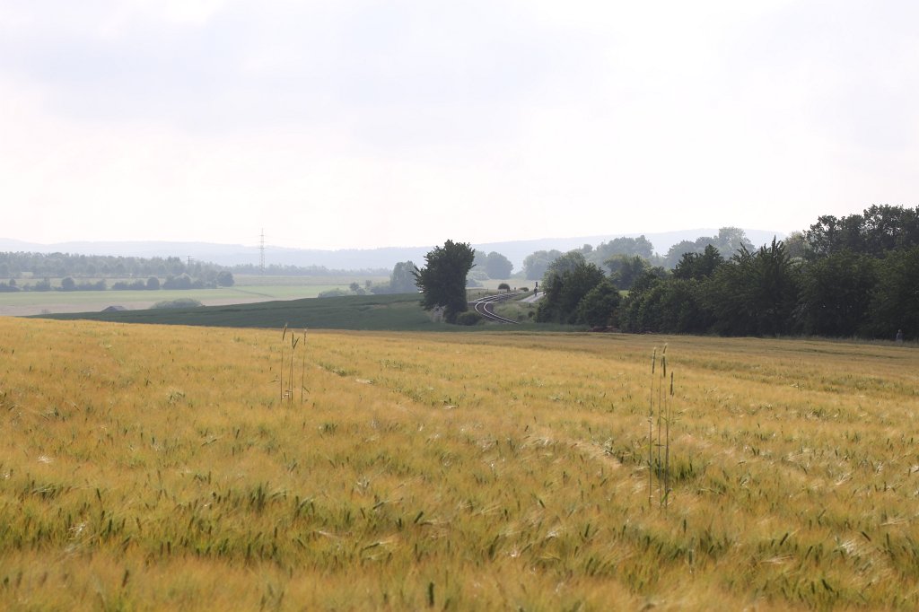 IMG_1790.JPG - Field