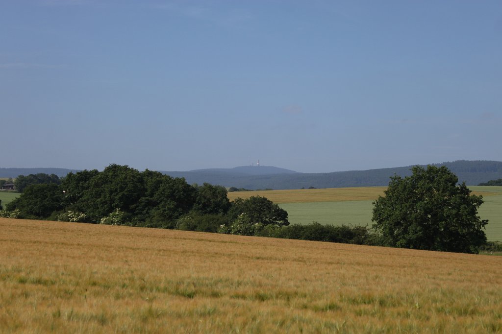 IMG_1861.JPG - Field