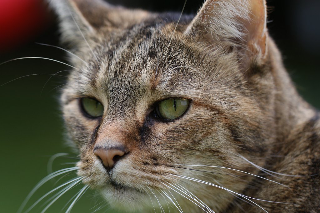 IMG_3679.JPG - Emily