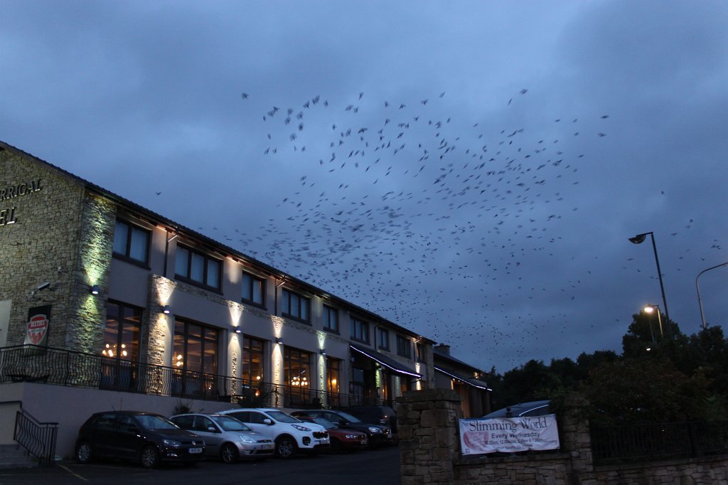 IMG_4523.JPG - Mount Errigal Hotel in  Letterkenny 