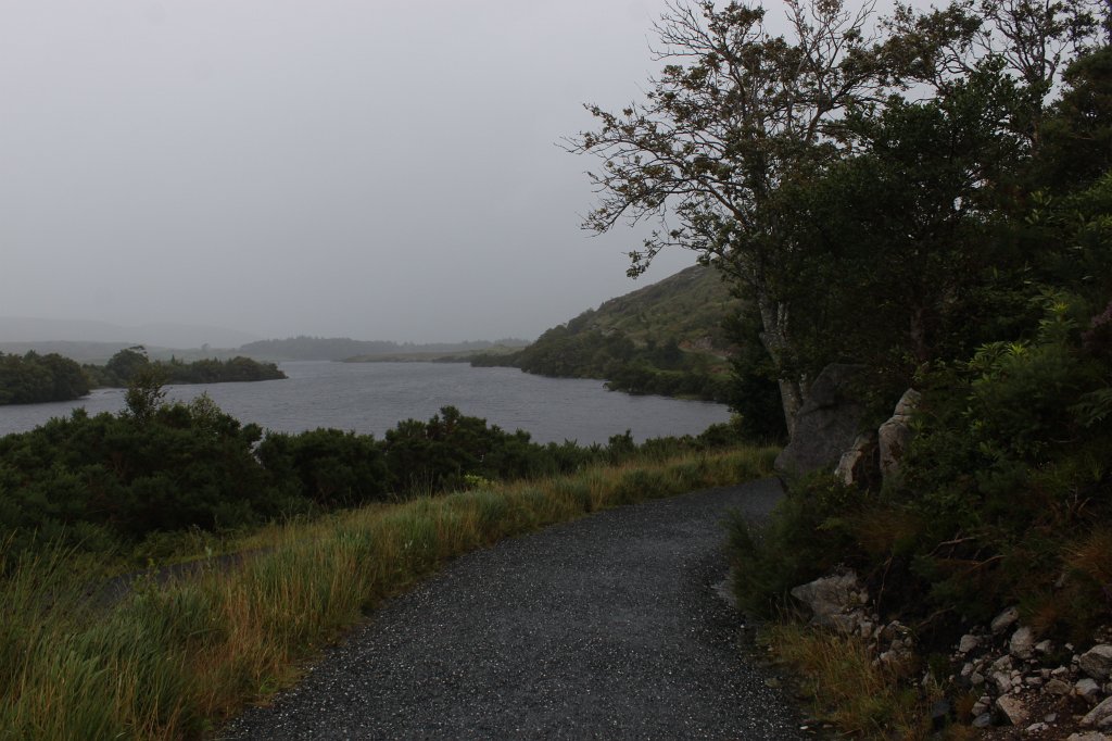 IMG_4552.JPG -  Lough Beagh 