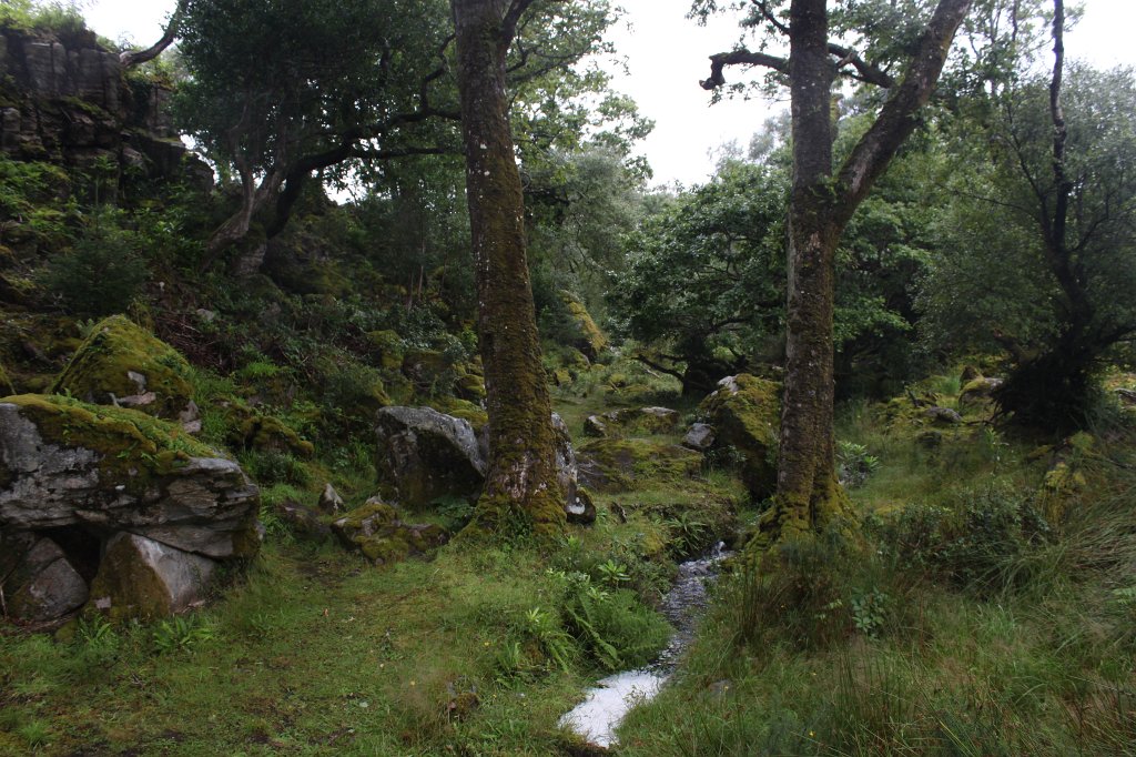 IMG_4556.JPG - The way to  Glenveagh Castle  along  Lough Beagh 