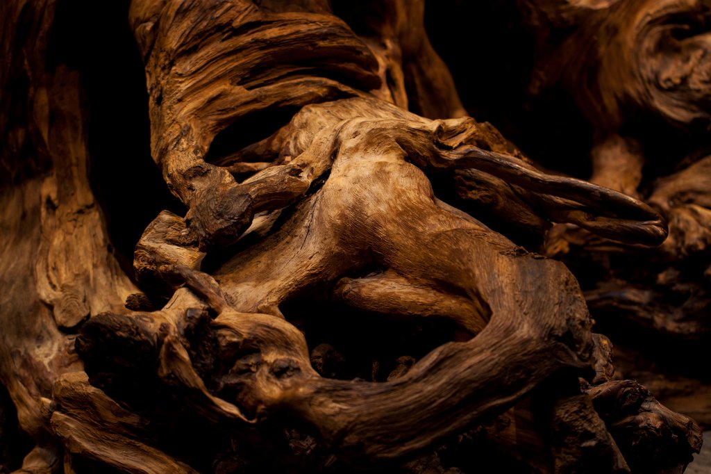 IMG_4670_c.jpg - This 4000 year old pine tree is shown in the  Céide Fields  visitor center. It was unearthed in the nearby bogland.