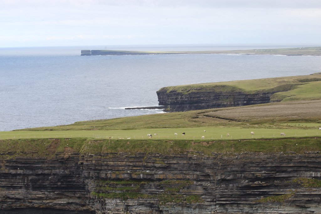 IMG_4740.JPG - Cows on the cliff. In the background is the Dún Briste seastack at Downpatrick head. Downpatrick head is on the  Wild Atlantic Way .