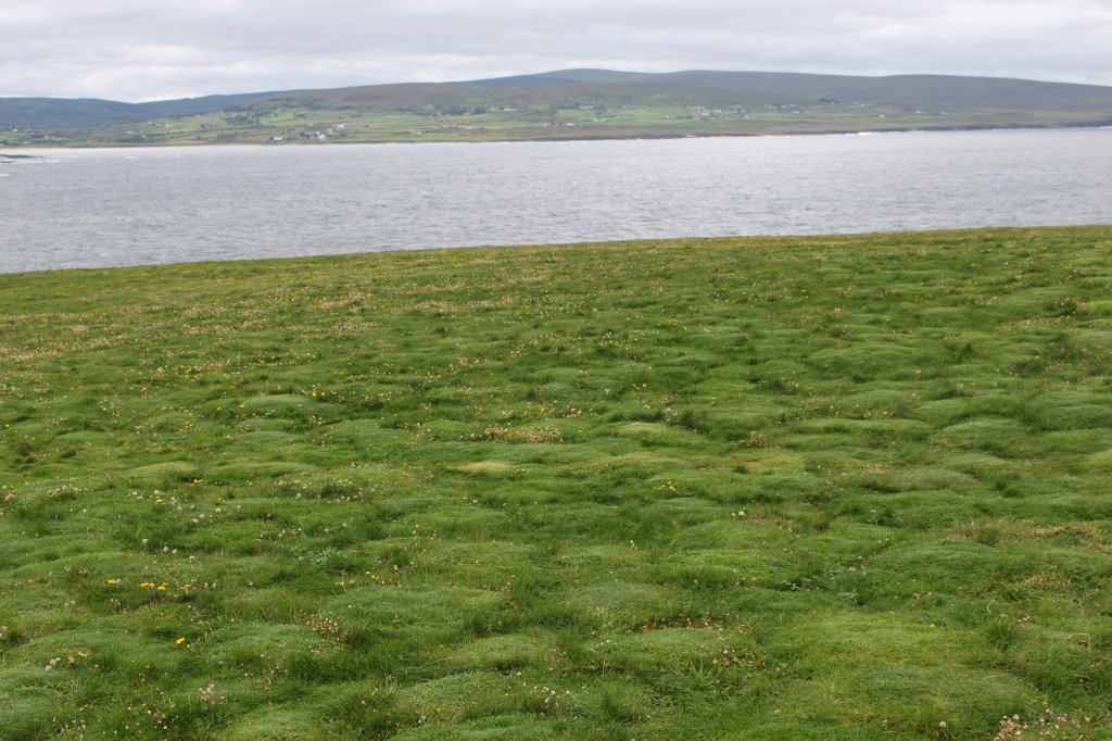 IMG_4788.JPG - Downpatrick head cliffs. Downpatrick head is on the  Wild Atlantic Way .