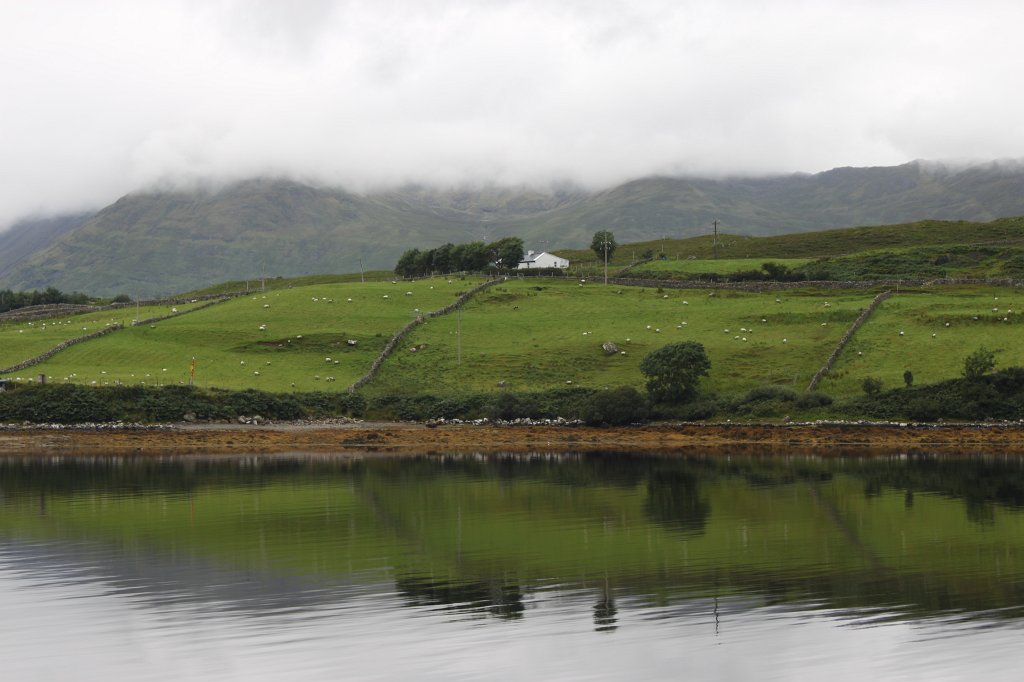 IMG_4875.JPG -  Killary Harbour 