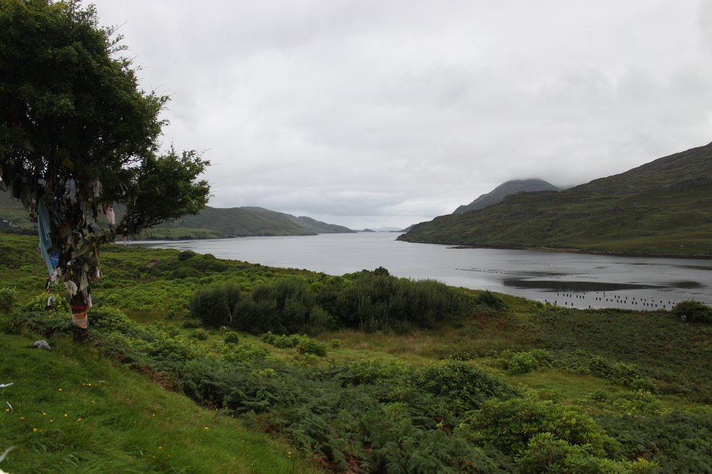 IMG_4878.JPG -  Killary Harbour 