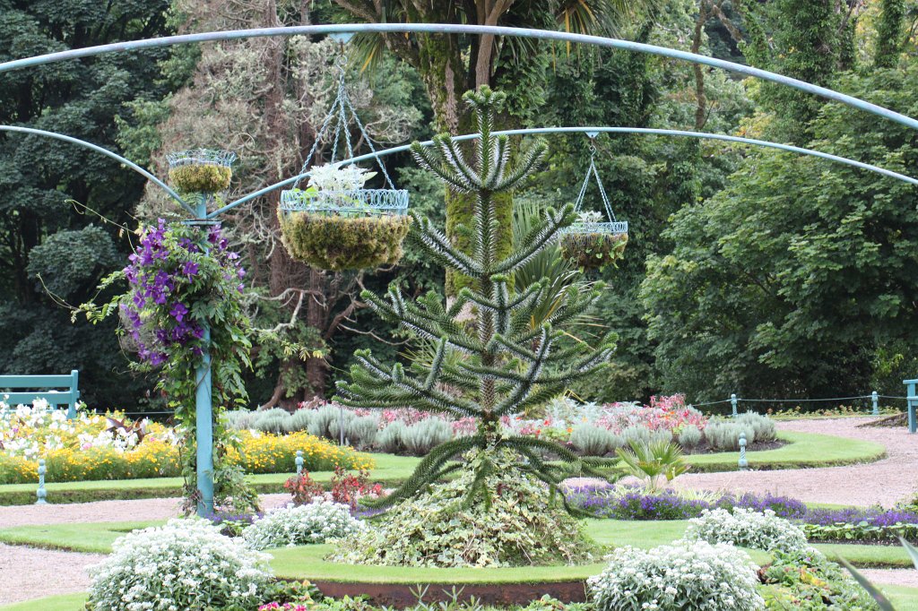 IMG_4921.JPG - Victorian Walled Gardens of  Kylemore Abbey 