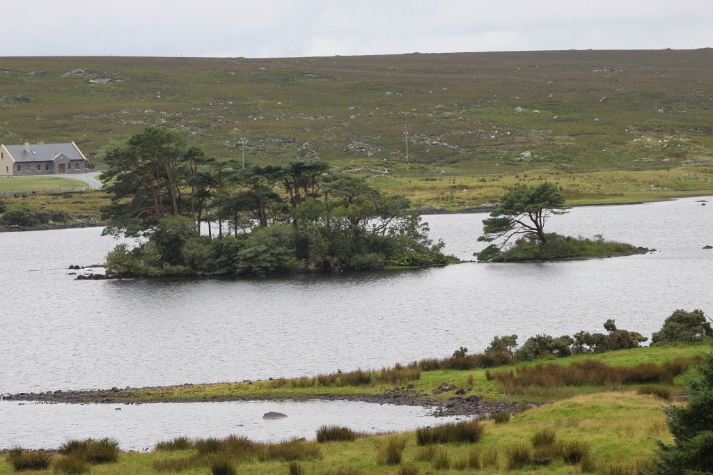 IMG_5082.JPG - Lough Inagh
