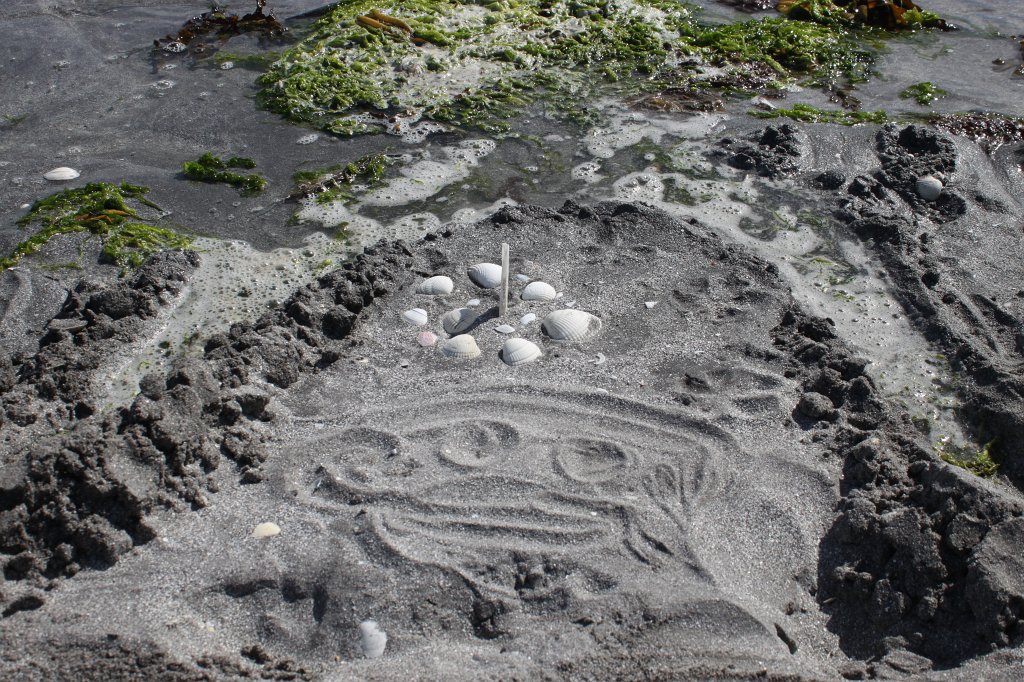 IMG_5197.JPG - Shells on the beach and the flood is getting them.
