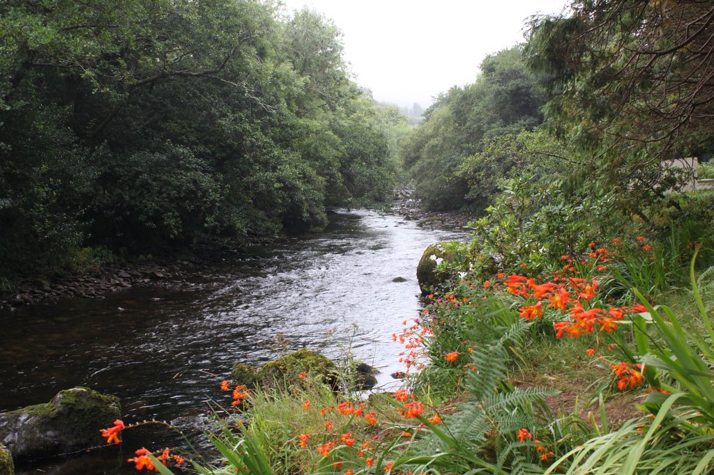 IMG_5408.JPG - Behy River