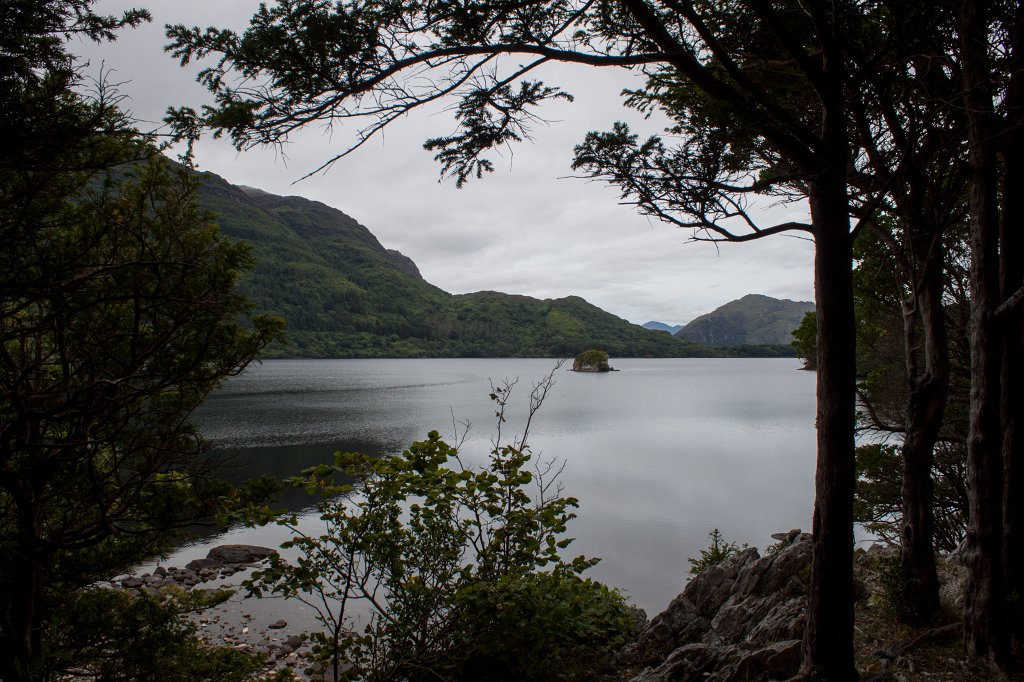 IMG_5671_c.jpg -  Muckross Lake 