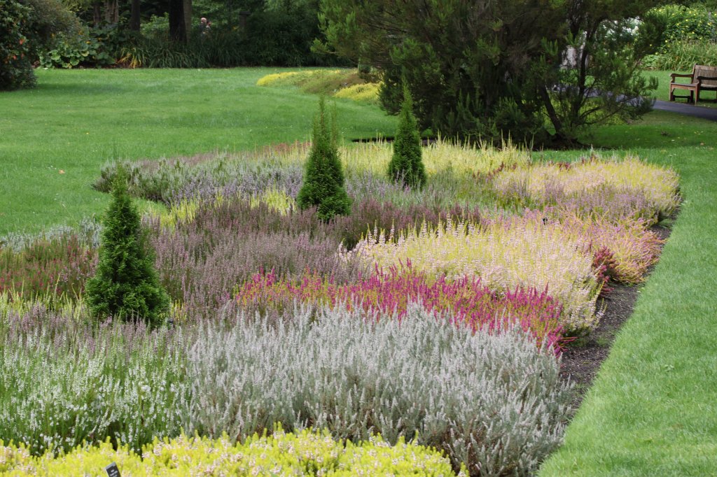 IMG_6252.JPG -  National Botanic Gardens of Ireland 