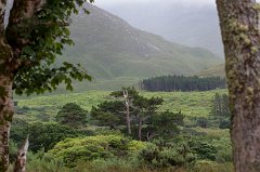 Connemara