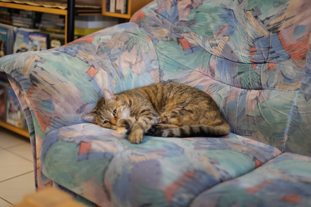 574A0544.JPG - Emily sleeping