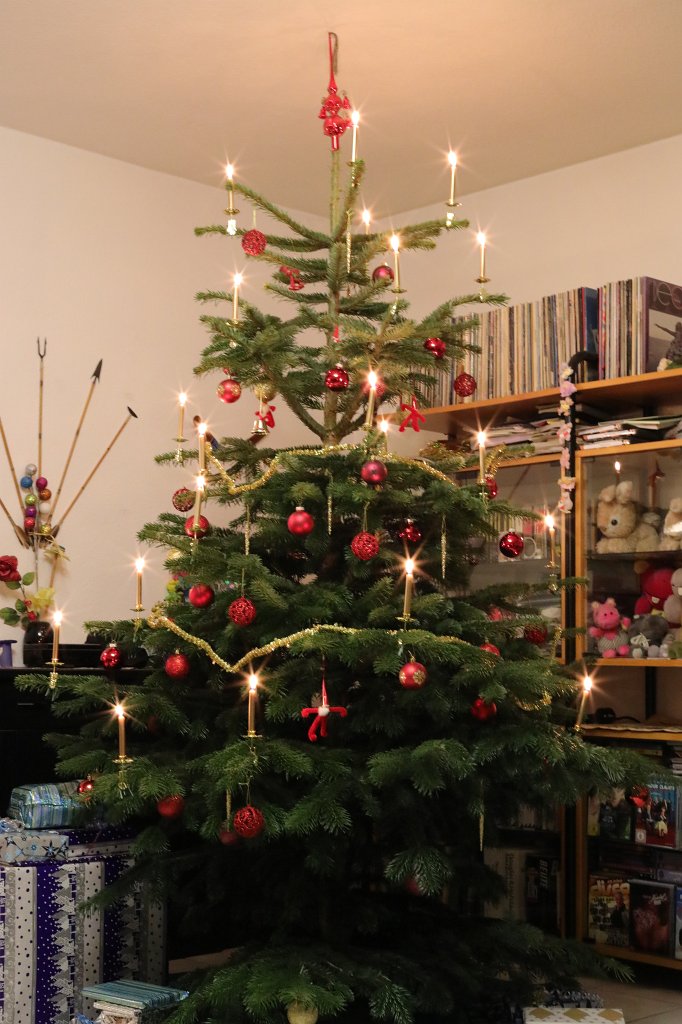 574A0608.JPG - Weihnachtsbaum