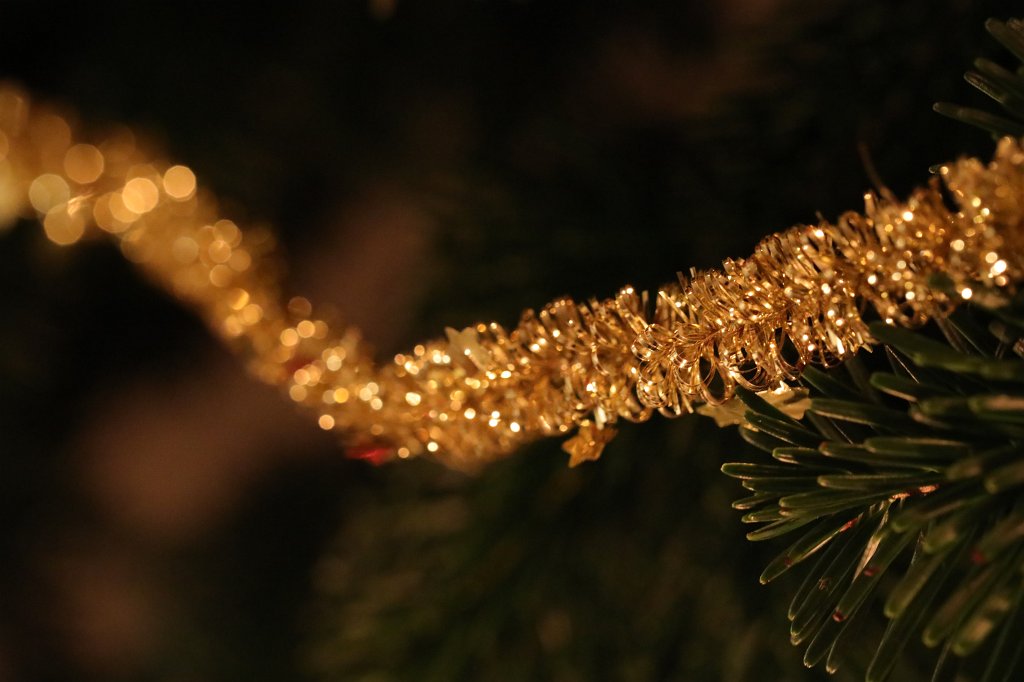 574A0614.JPG - Weihnachtsbaum