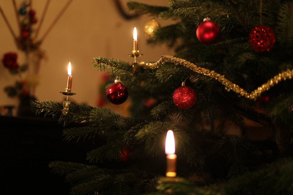 574A0623.JPG - Weihnachtsbaum