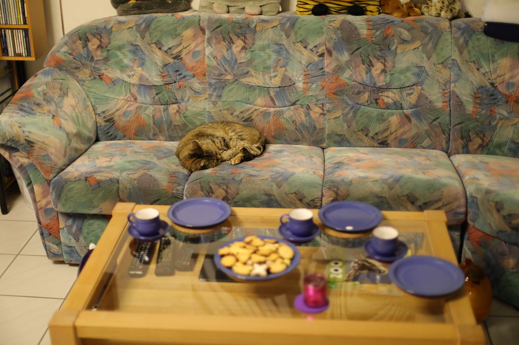 574A0630.JPG - Katze beim Essen