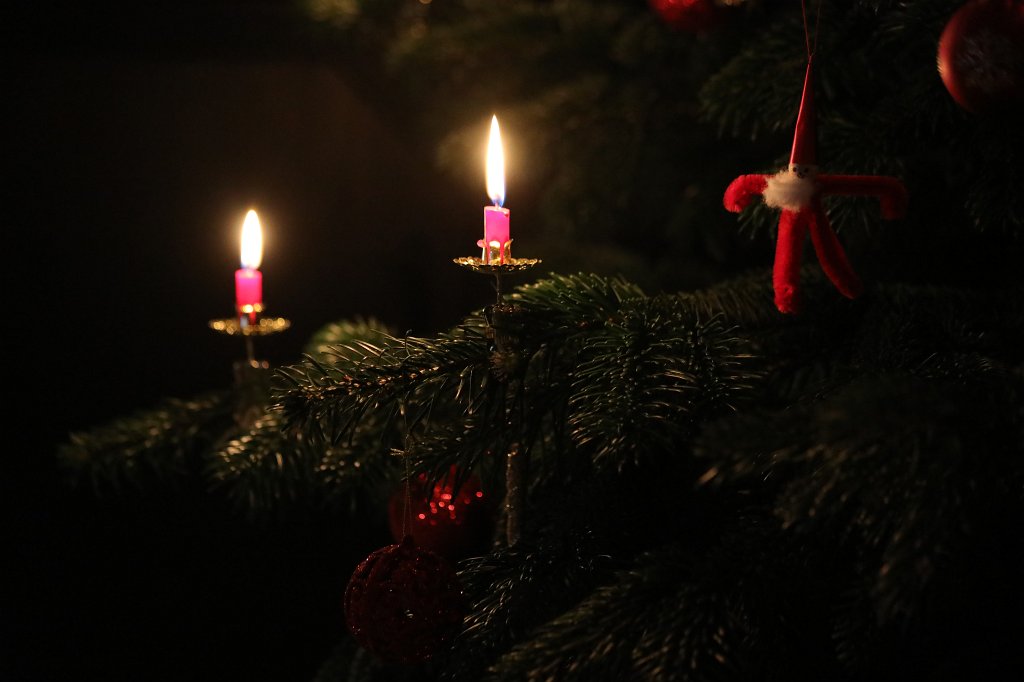 574A0639.JPG - Weihnachtsbaum