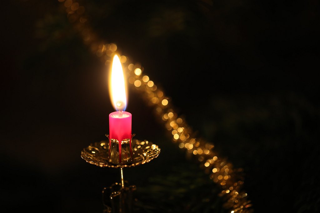 574A0656.JPG - Weihnachtsbaum