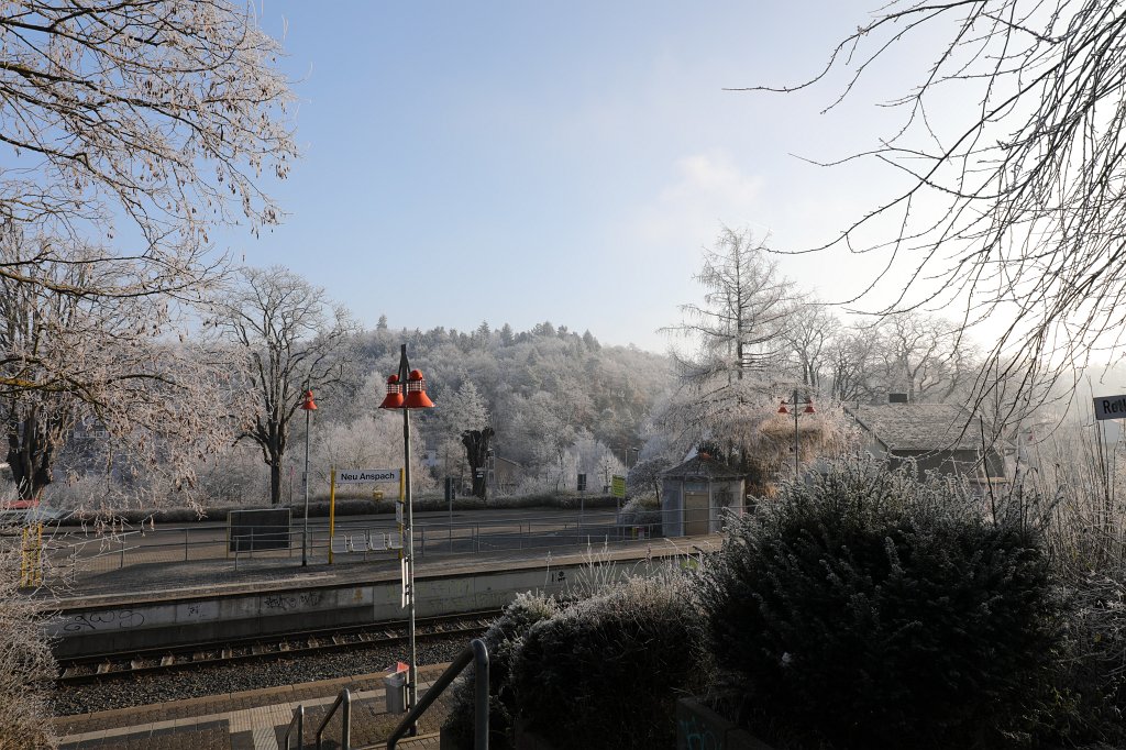 574A0803.JPG - Hoar frost