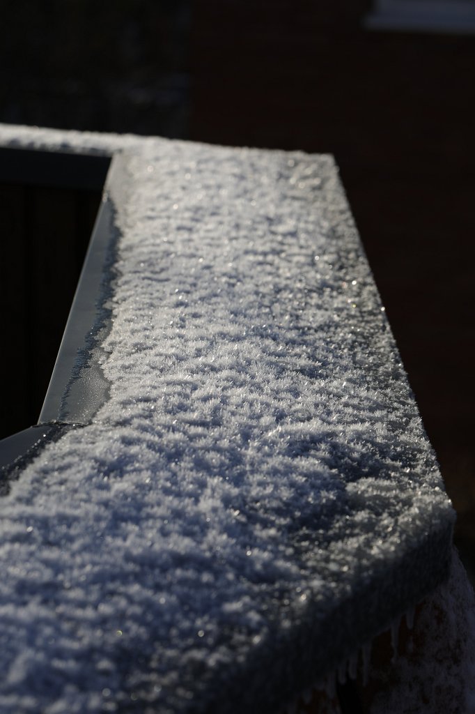 574A0829.JPG - Hoar frost